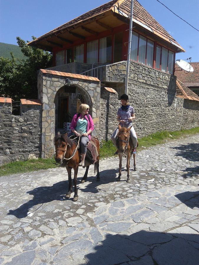 Ilham Mustafa Houses Şǝki Exteriér fotografie